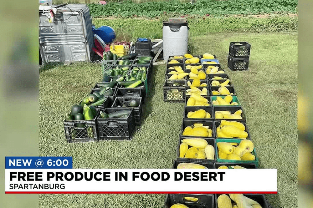 Free Produce in Food Desert, A screenshot of a news segment highlighting the program by LHS
