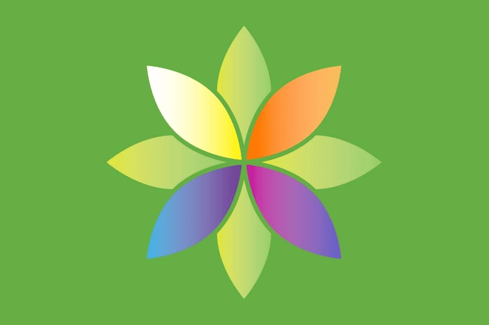 Healthy People, Healthy Carolinas Logo
